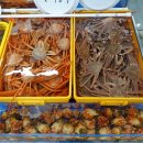 정자활어직매장A-1 티스토리