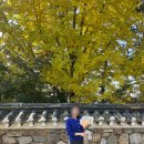 한화리조트/용인 베잔송 | [용인/리조트] 한화리조트 용인 베잔송 디럭스룸 후기