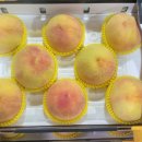 장호원복숭아축제장화장실 이미지