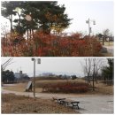 문학대공원 네이버블로그
