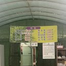 대규미나리 이미지
