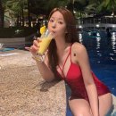 맥심라이브 이미지