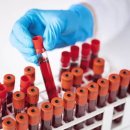 인사이트 이미지