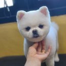 고성펜션 화포리 이미지