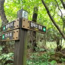 진월면 선소정류장 | 광양 천왕산 망덕산 망덕포구 배알도 20210811 수