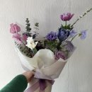 보태니컬 플랜(Botanical Plan)