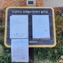 중곡어린이공원 이미지
