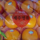 돌이농장