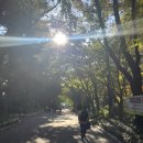 홍양(주) | 대학생의 가을은