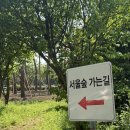 서울숲 생태숲 화장실 | 서울 피크닉 명소 서울숲 | 주차, 위치, 준비물, 감성 피크닉 꿀팁