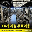 옐로줌바 - 영등포구 도영로 52-1 | 옐로줌바