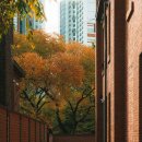 담쟁이 작은도서관 이미지