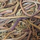 참샘산방 이미지