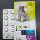 플러스동물약국 이미지