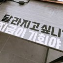 비비테라피 이미지