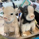 찬우물로 | [고촌맛집] 찬우물한우정육식당에서 한돈모듬과 항정살로 즐긴 가족외식 후기