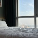 코티스 앰버서더 그라운드 이미지