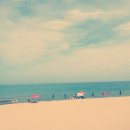 동해바다 이미지