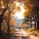 어반6.5(urban6.5) 이미지