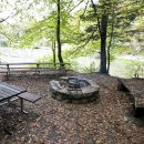 솔밭공원 농구장 | 충북커플펜션-솔밭관광농원