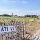 마온농장 이미지