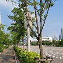 송도LNG종합스포츠타운제4지구야구장 네이버블로그