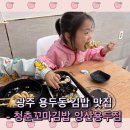청춘꼬마김밥양산