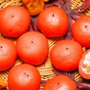 떡과 디저트 이미지