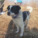 평창 별이빛나는밤에 이미지