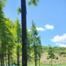 자연생태어린이집 이미지