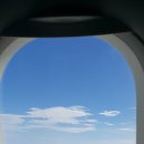 서쪽강생이 이미지