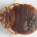 대구방역 이미지