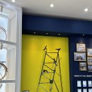 상주박물관 | 자전거체험도 가능/상주 자전거 박물관 🚲 아이랑 주말 나들이 후기💨