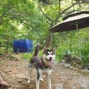 산모룽이 이미지