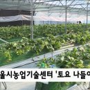 서울시농업기술센터