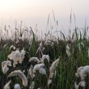 공룡알화석지방문자센터 이미지