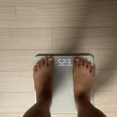 양지로2L | 두번째 스위치온 2주차 8일차 - 14일차 식단 및 후기 (1끼 저탄수일반식, 1끼 무탄수식 / 체지방 -2.7kg)