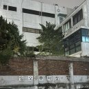 김앤김대게 | 김앤김대게 서교점 l 홍대 합정 내돈내산 대게 전문 맛집(주차정보)