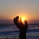 호미곶동호성게된장 | [경북 포항] 동호사 혜연스님의 아주 특별한 성게된장