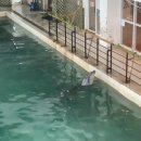 마린파크 이미지