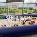 🛝 하남 샤론농장 피크닉하우스 대관 후기｜아이들과 실내 놀거리 가득한 키즈 피크닉 주말 일상 💛