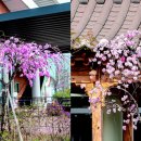 증평군립도서관 앞 이미지