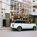 블랙카우 이미지