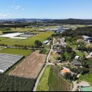 금광농장 이미지