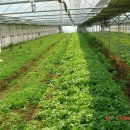 경순농장 이미지