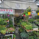 대광농원 이미지