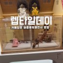 랩타일제주