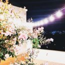 스테이odm고운 이미지