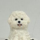 멈무푸드 이미지