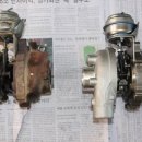 장수카크리닉 이미지